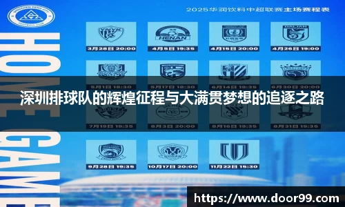 深圳排球队的辉煌征程与大满贯梦想的追逐之路